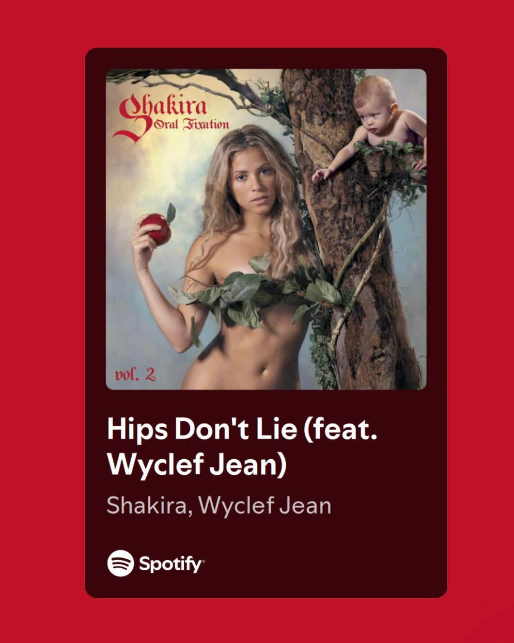 “Hips Don’t Lie” Jeans